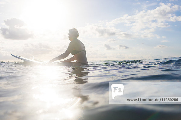 Frau auf einem Surfbrett im sonnenbeschienenen Meer  Nosara  Provinz Guanacaste  Costa Rica