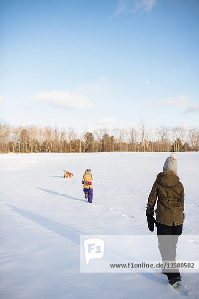 Kinder und Hunde spielen auf schneebedecktem Feld  Lakefield  Ontario  Kanada