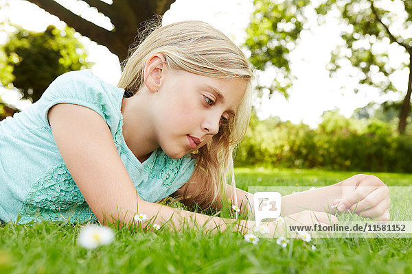 Auf Gras liegendes Mädchen  das Gänseblümchen anstarrt.