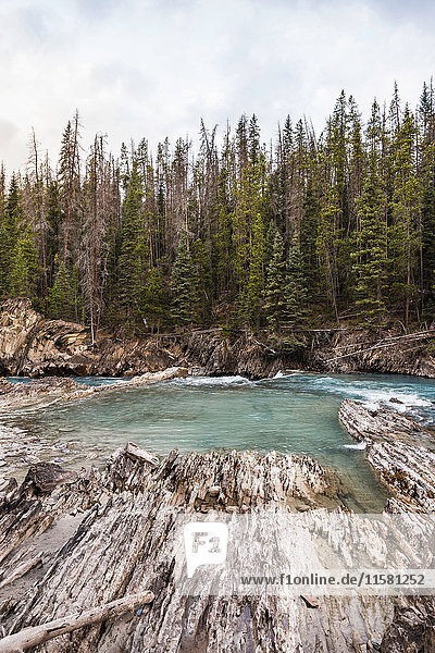 Natural Bridge Falls  Kicking Horse River  Yoho National Park  Field  British Columbia  Canada