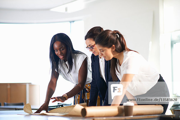 Colleagues in office looking at blueprint