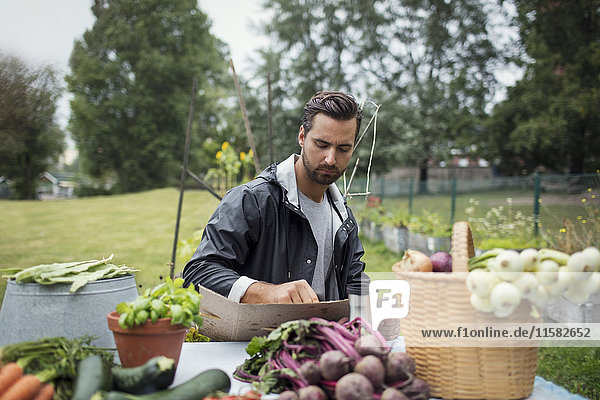 Mid adult man writing on cardboard while sitting by freshly harvested vegetables in urban garden