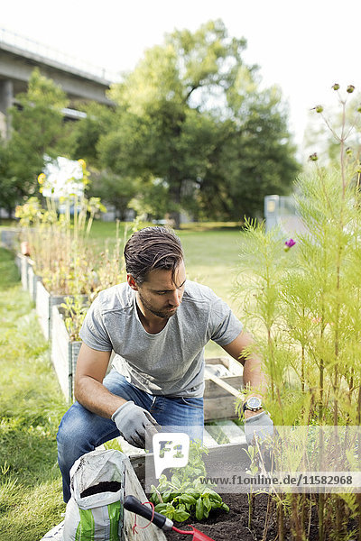 Mid adult man working in community garden