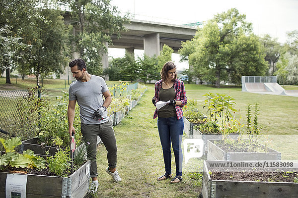 Full length of mid adult couple examining plants in urban garden
