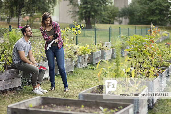 Mid adult couple discussing over plants in urban garden