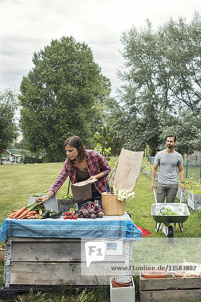 Mittlere erwachsene Frau arrangiert Gartengemüse auf Tisch mit Mann im Hintergrund