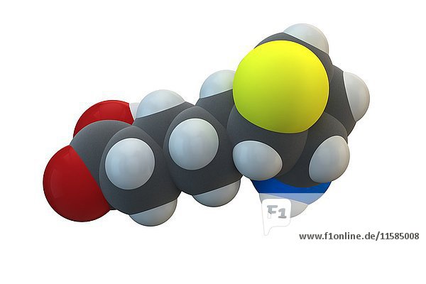 Vitamin B7. Molekulares Modell von Biotin  auch bekannt als Vitamin B7  Vitamin H und Coenzym R. Dieses Vitamin ist für das Zellwachstum  die Produktion von Fettsäuren und den Stoffwechsel von Fetten und Aminosäuren erforderlich. Die chemische Formel lautet C10H16N2O3S. Die Atome sind als Kugeln dargestellt: Kohlenstoff (grau)  Wasserstoff (weiß)  Stickstoff (blau)  Sauerstoff (rot)  Schwefel (gelb). Illustration.