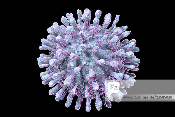 Humanes Immundefizienz-Virus (HIV)  Computerillustration. HIV ist ein RNA-Virus (Ribonukleinsäure) aus der Familie der Retroviridae  das das erworbene Immunschwächesyndrom (AIDS) verursacht.
