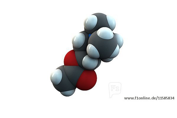 Acetylcholin Neurotransmitter-Molekül. Die chemische Formel lautet C7H16NO2. Die Atome sind als Kugeln dargestellt: Kohlenstoff (grau)  Wasserstoff (weiß)  Stickstoff (blau)  Sauerstoff (rot). Illustration.