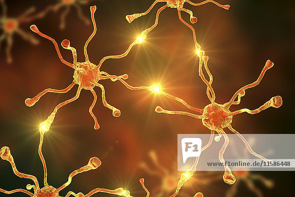 Nervenzellen (Neuronen) des menschlichen Gehirns  Computerdarstellung.
