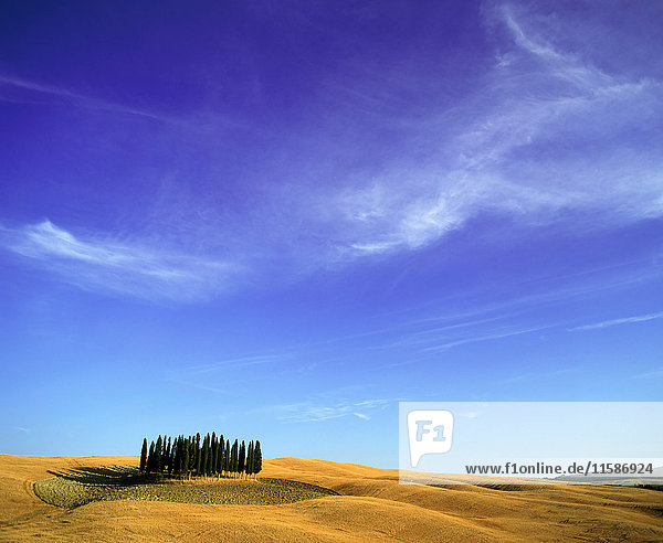 Orcia-Tal im Sommer