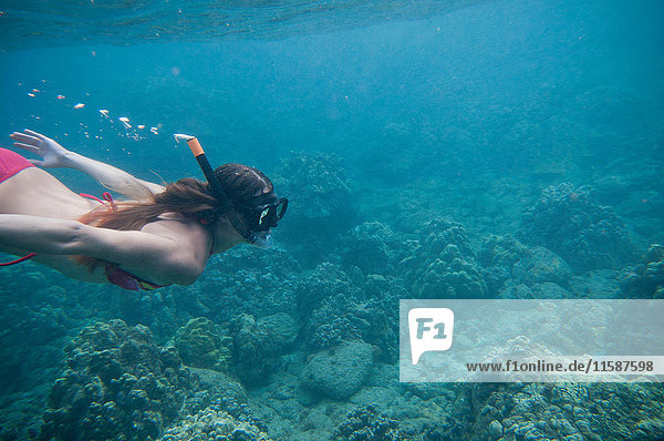 Woman snorkeling in tropical ocean