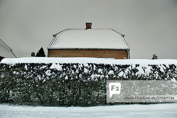 Schneebedeckter Busch und Haus