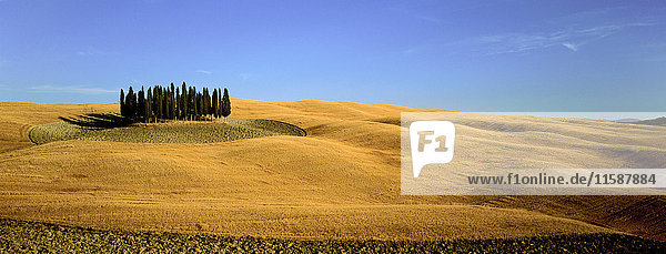Orcia-Tal im Sommer