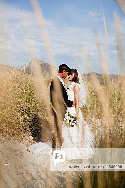 Braut und Bräutigam küssen sich am Strand