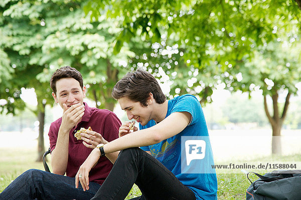 Men having picnic in park