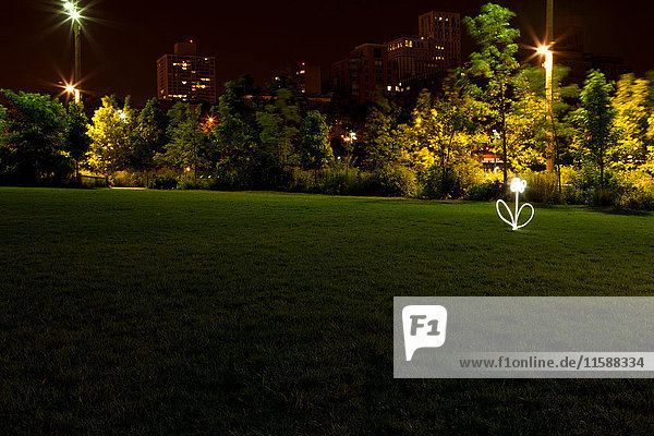 Blume von Lichtspur im Park bei Nacht gezeichnet