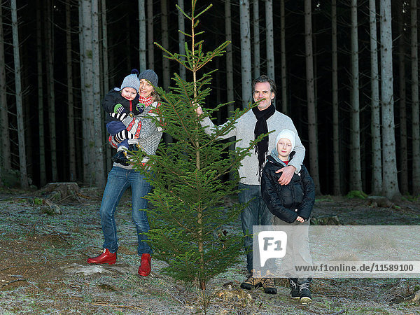 Family with christmas tree
