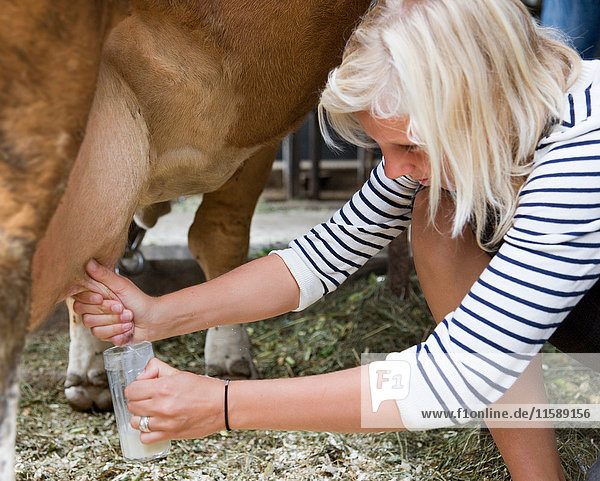 Mädchen melkt Kuh von Hand