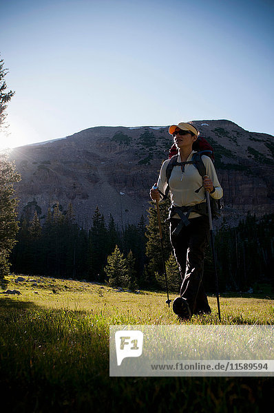 Hiker carrying pack on grassy hillside