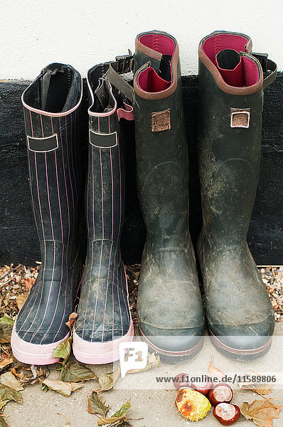 Two pairs of wellington boots