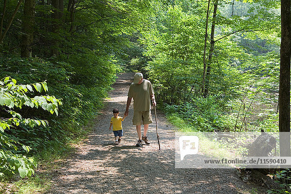 Grossvater und Enkel gehen auf einem Waldweg