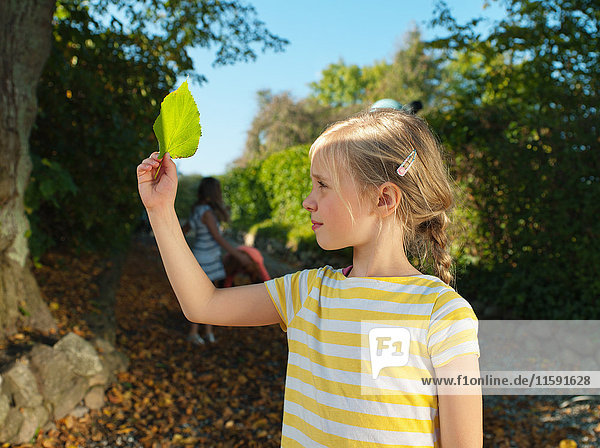 Young girl looking at leaf