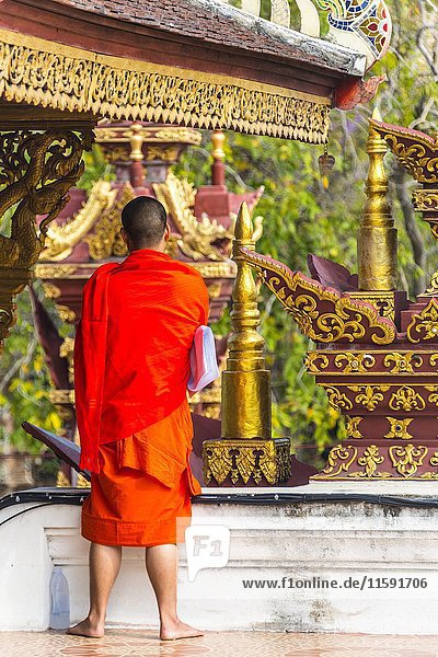 Buddhistischer Mönch  traditionelles orangefarbenes Gewand  Blick in die Ferne  Wat Rajamontean  Chiang Mai  Provinz Chiang Mai  Nordthailand  Thailand  Asien