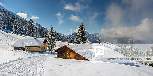 Österreich  Kleinwalsertal  Höhenweg im Winter