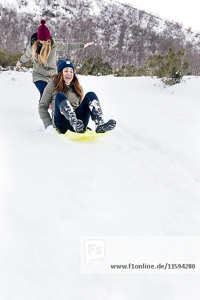 Two best friends having fun with a sled in the snow