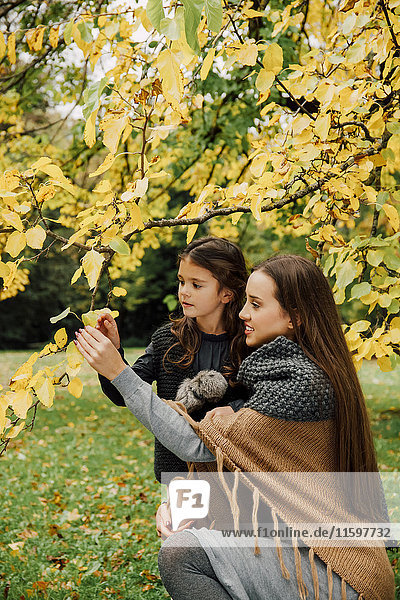 Young woman and little girl in autumn