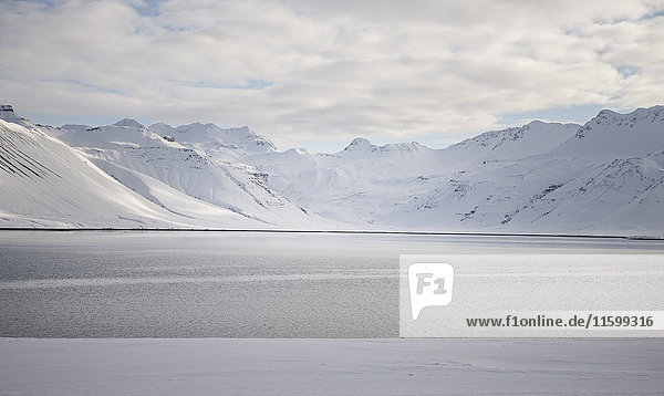 Island  Wasser und schneebedeckte Berge