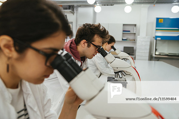 Laboratory technicians using microscopes in lab