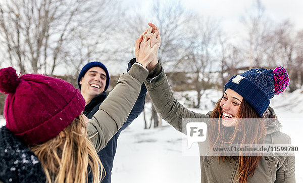 Drei Freunde  die sich im Schnee die Hände reichen.