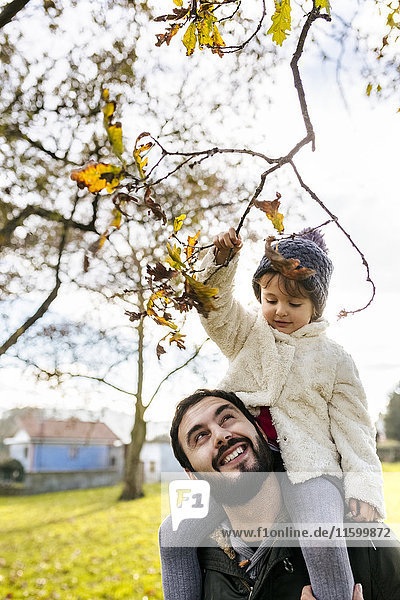 Kleines Mädchen auf den Schultern ihres Vaters im Herbstpark