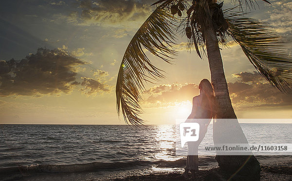 Caucasian woman leaning on palm tree near ocean