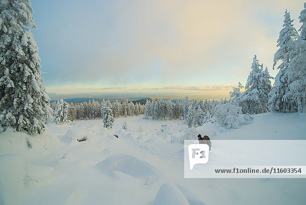 Caucasian man hiking in snowy forest at sunset