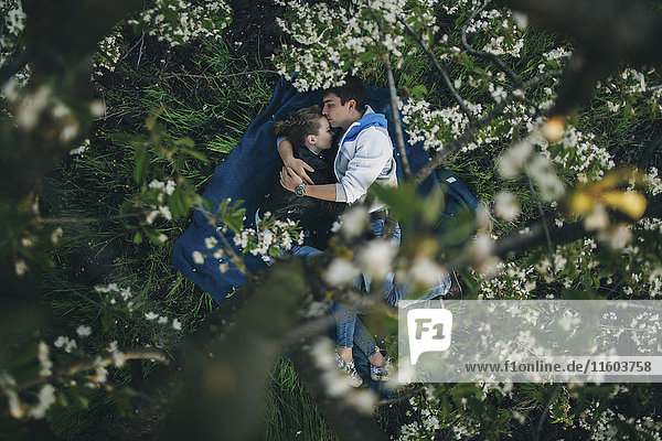 Kaukasisches Paar liegt im Gras unter blühenden Bäumen