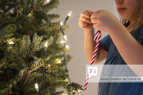 Caucasian girl hanging candy cane on Christmas tree