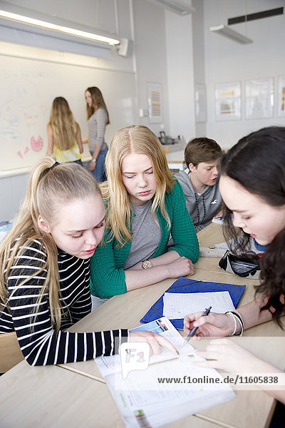 Teenage girls learning together