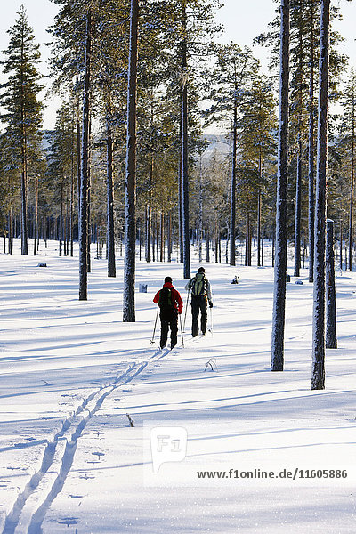 Frauen beim Skifahren im Winterwald