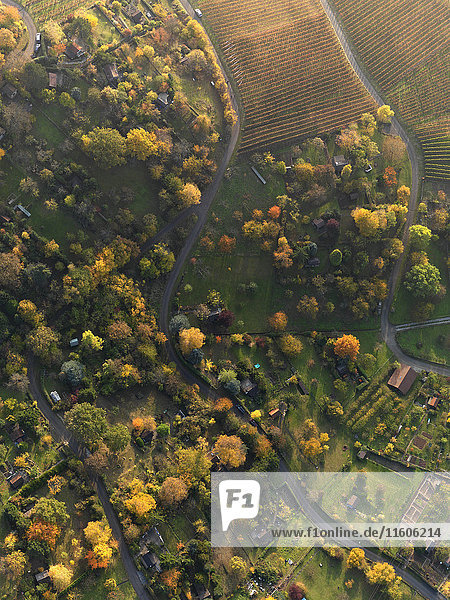 Aerial view of landscape during autumn  Hohenheim  Stuttgart  Baden-Wuerttemberg  Germany
