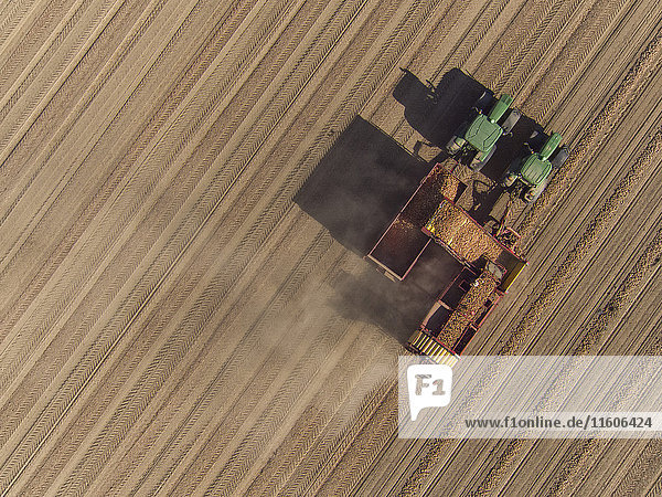 Directly above view of combine harvester in field