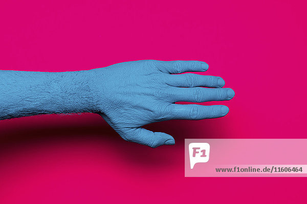Nahaufnahme von blau gestrichener Hand über rosa Hintergrund