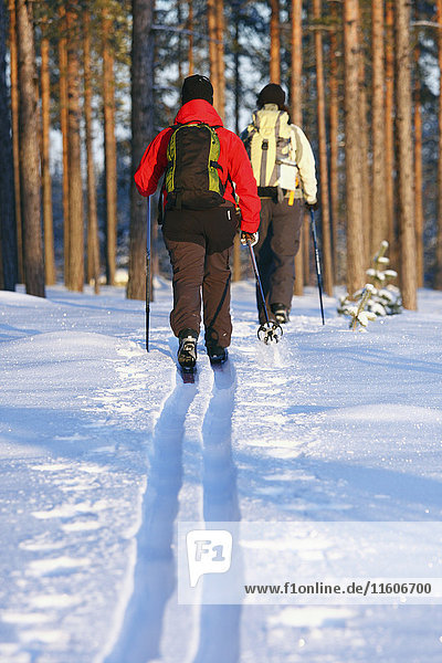 Frauen beim Skifahren im Winterwald