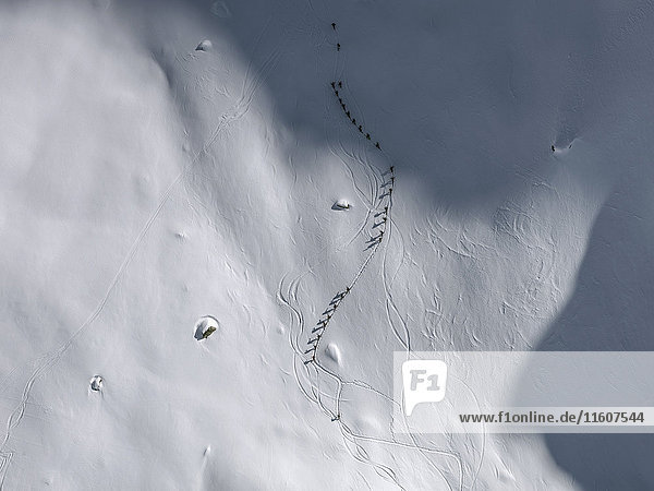 Fernsicht der Skifahrer auf schneebedecktem Feld