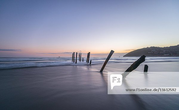 Old broken bridge  posts in the water on the beach at dusk  St. Clair  Dunedin  Southland  New Zealand  Oceania
