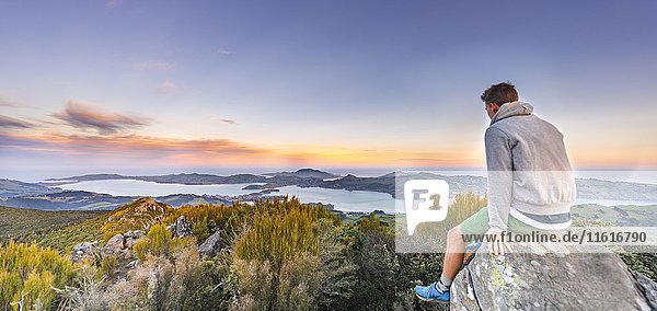 Man sitting on rocks  view from Mount Cargill Dunedin with Otago Harbor and Otago Peninsula  Sunset  Dunedin  Otago  Southland  New Zealand  Oceania