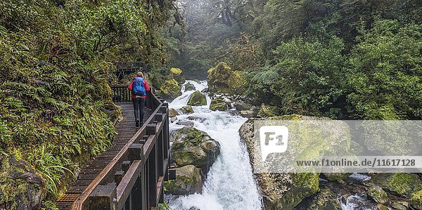 Hiker on wooden walkway along the river  way to Lake Marian  Fiordland National Park  Te Anau  Southland Region  Southland  New Zealand  Oceania