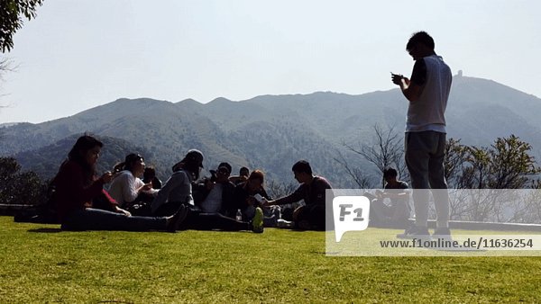 Mann spielt ein Spiel auf seinem Smartphone  während seine Freunde sich auf dem Rasen entspannen